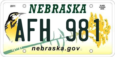 NE license plate AFH981