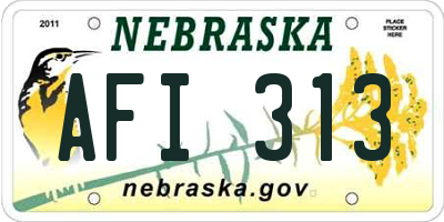 NE license plate AFI313