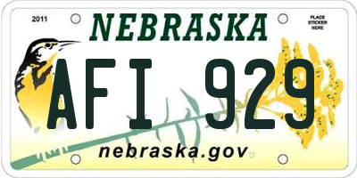 NE license plate AFI929