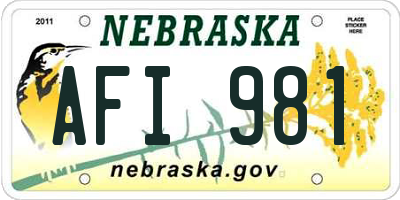 NE license plate AFI981