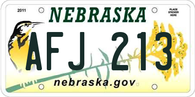 NE license plate AFJ213