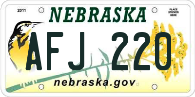 NE license plate AFJ220