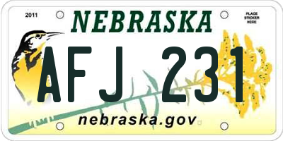 NE license plate AFJ231