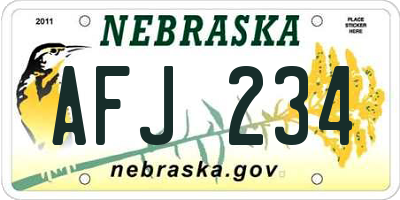 NE license plate AFJ234