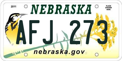 NE license plate AFJ273