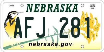 NE license plate AFJ281