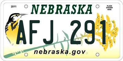 NE license plate AFJ291