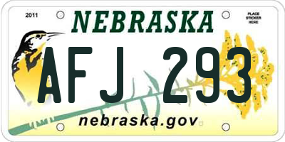 NE license plate AFJ293