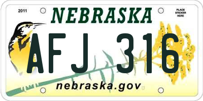 NE license plate AFJ316