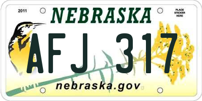 NE license plate AFJ317