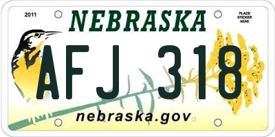 NE license plate AFJ318