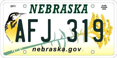 NE license plate AFJ319