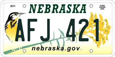 NE license plate AFJ421