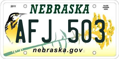 NE license plate AFJ503
