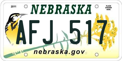 NE license plate AFJ517
