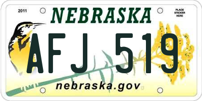 NE license plate AFJ519