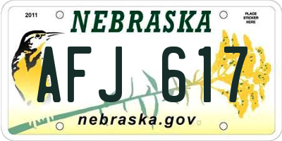 NE license plate AFJ617