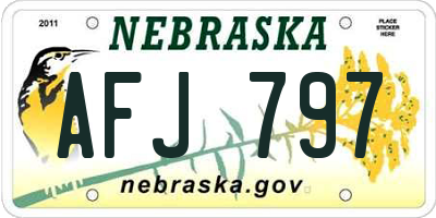 NE license plate AFJ797