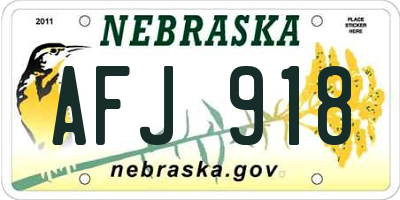 NE license plate AFJ918