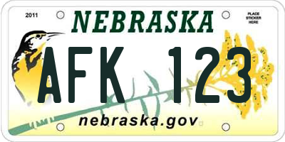 NE license plate AFK123