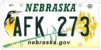 NE license plate AFK273