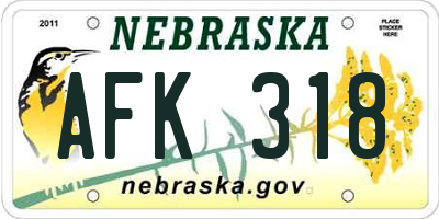 NE license plate AFK318