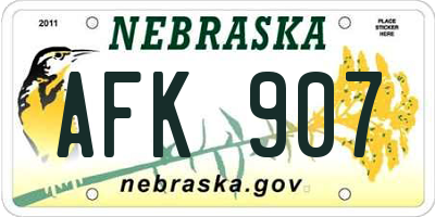 NE license plate AFK907
