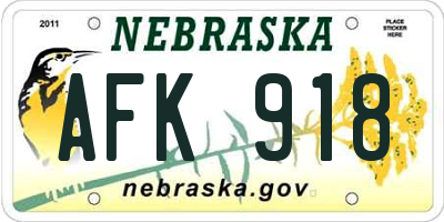 NE license plate AFK918