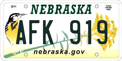 NE license plate AFK919
