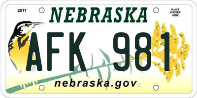 NE license plate AFK981
