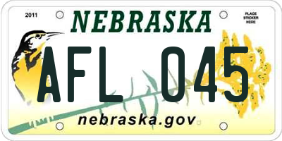 NE license plate AFL045