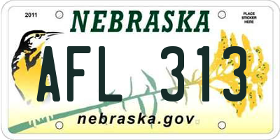 NE license plate AFL313