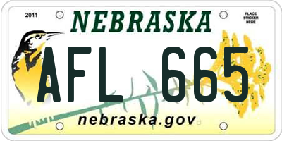 NE license plate AFL665