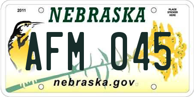 NE license plate AFM045