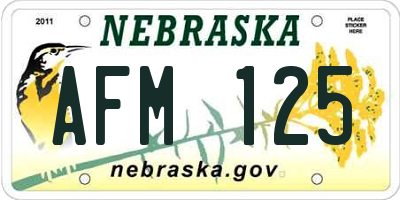 NE license plate AFM125
