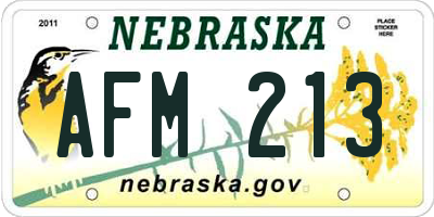 NE license plate AFM213