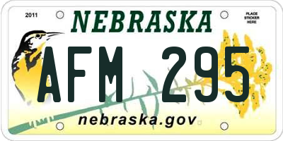 NE license plate AFM295
