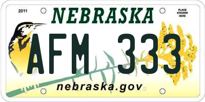 NE license plate AFM333