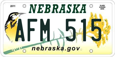 NE license plate AFM515