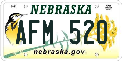 NE license plate AFM520