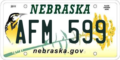 NE license plate AFM599
