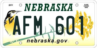 NE license plate AFM601