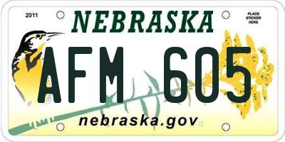 NE license plate AFM605