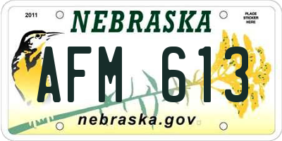 NE license plate AFM613