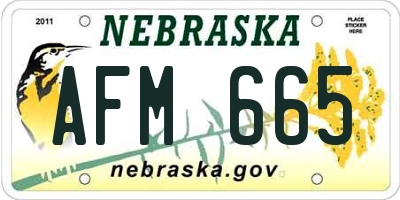 NE license plate AFM665
