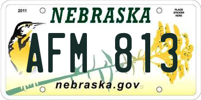 NE license plate AFM813