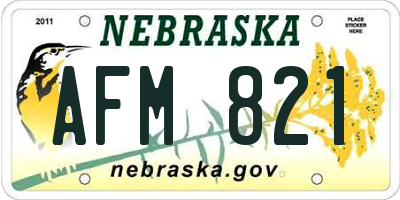 NE license plate AFM821