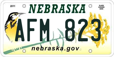NE license plate AFM823