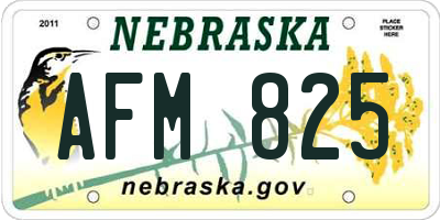 NE license plate AFM825