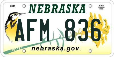 NE license plate AFM836